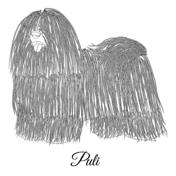 Dessin animé pour chien Puli contour. Coloration vectorielle — Image vectorielle