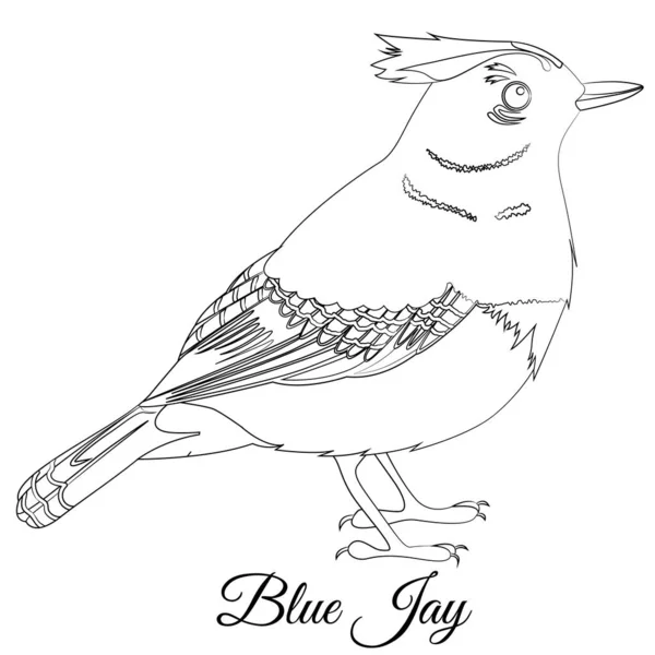 Μπλε jay απεικόνιση διάνυσμα χρωματισμό πουλί — Διανυσματικό Αρχείο