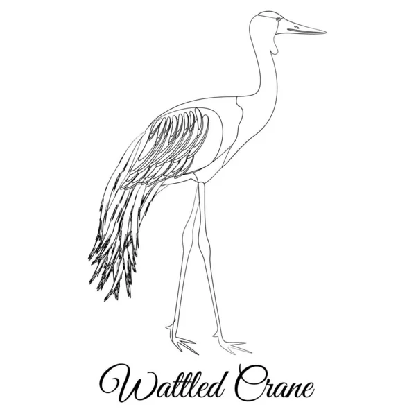 Grue ondulée contour oiseau type coloriage vecteur — Image vectorielle