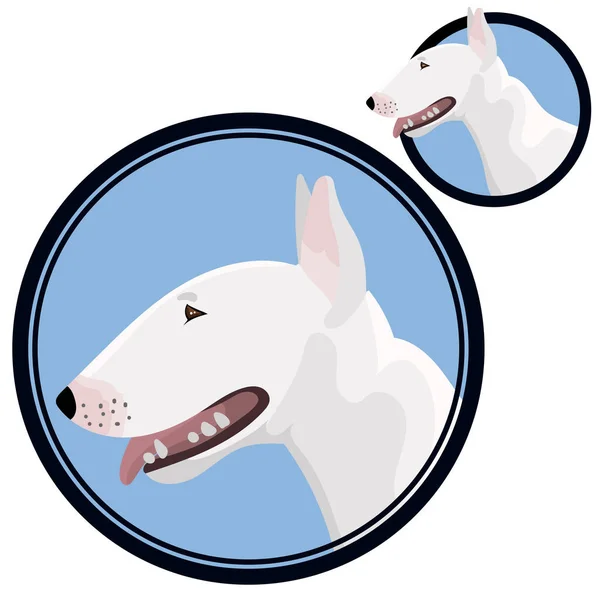 Bull terrier cabeça em círculo cão raça ilustração —  Vetores de Stock