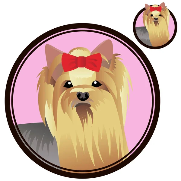 Yorkshire terrier dog breed head in circle — 스톡 벡터