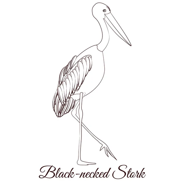 Black necked stork cartoon bird coloring — 스톡 벡터