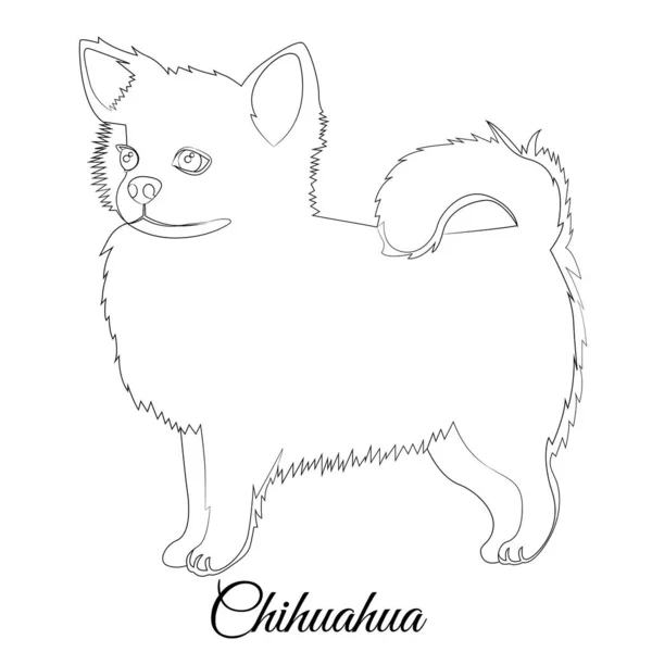 Chihuahua-Hundeumriss. Vektor-Färbung — Stockvektor