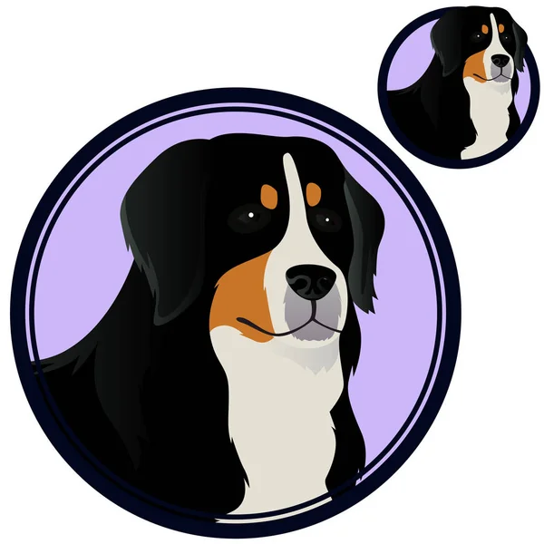 Zennenhund hondenras hoofd in cirkel vector — Stockvector