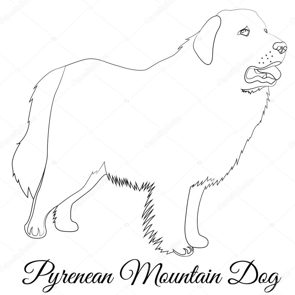 Great Pyrenees dog outline. Vector coloring