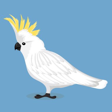 Sülfür armalı papağan.