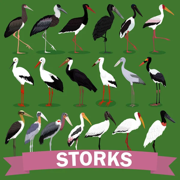 Storchenfamilie setzt Cartoon-Vogel ein — Stockvektor