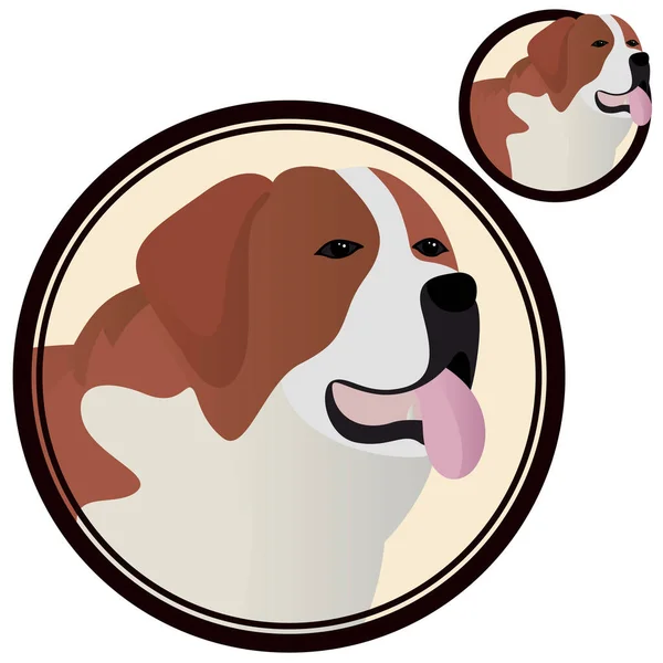 St Bernard dog head in circle — Stock Vector