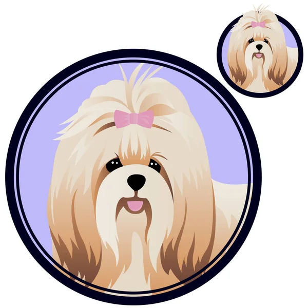 Shih tzu dog head in circle — Stock Vector