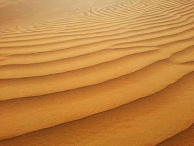 Sands of the Desert clipart