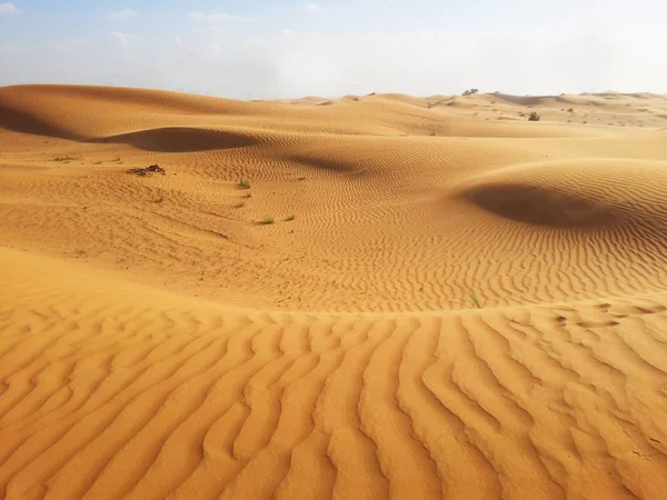 Sabbie del deserto — Foto Stock