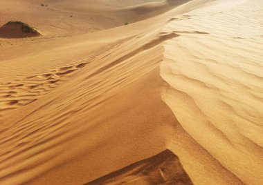 Sands of the Desert clipart
