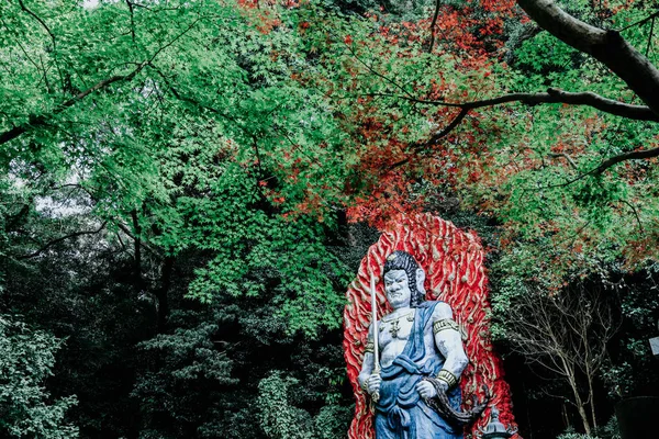 Nanzoin Fukuoka Japão Novembro 2019 Área Torno Big Buddha Templo — Fotografia de Stock