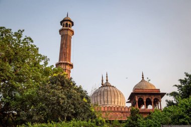 Eski Delhi, Hindistan 'ın dış duvarlarından gün batımında Jama Mescidi.