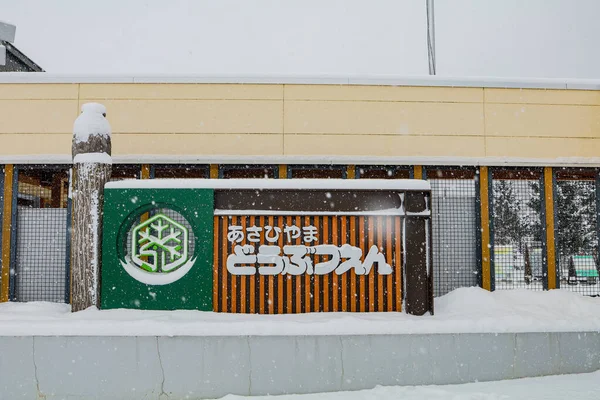 Asahikawa Hokkaido Japão Dezembro 2019 Zoológico Asahiyama Inverno Jardim Zoológico — Fotografia de Stock