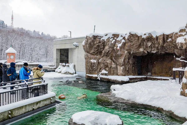 Asahikawa Hokkaido Giappone Dicembre 2019 Zoo Asahiyama Inverno Giardino Zoologico — Foto Stock