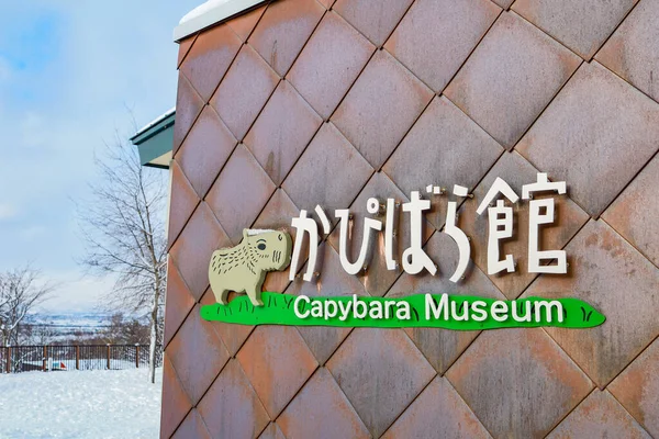 Asahikawa Hokkaido Japão Dezembro 2019 Zoológico Asahiyama Inverno Jardim Zoológico — Fotografia de Stock