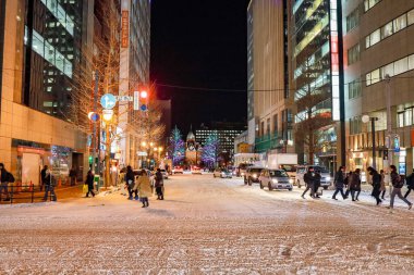 Odori Parkı, Sapporo, Hokkaido, Japonya - Aralık 2019: Odori Parkı Noel etkinliği sırasında turistleri karşılamak için ışıklandırılmasıyla kirletildi. Park sapporo şehrinin merkezinde..  