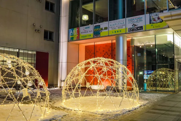 Odori Park Sapporo Hokkaido Giappone Dicembre 2019 Odori Park Durante — Foto Stock