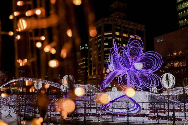 Odori Park Sapporo Hokkaido Japan December 2019 Odori Park Julen — Stockfoto