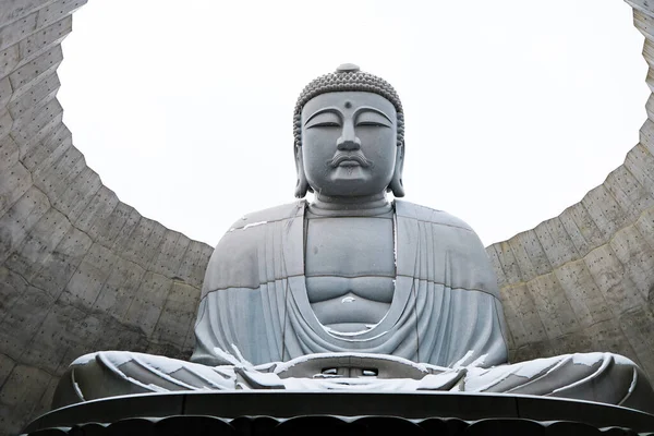 Sapporo Hokkaido Japán 2019 December Nagy Buddha Buddha Hegynél Buddha — Stock Fotó