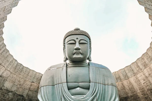 Sapporo Hokkaido Japonya Aralık 2019 Buda Tepesi Ndeki Büyük Buda — Stok fotoğraf