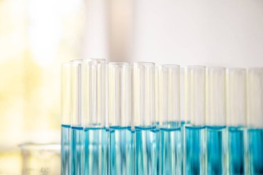 Virüs Corona Covid 19 aşısı örnekleriyle laboratuvar tüpü. Bilimsel laboratuvar ekipmanları. Yakın çekim. Salgın Hastalık ve Sağlık Aşısı kavramı.