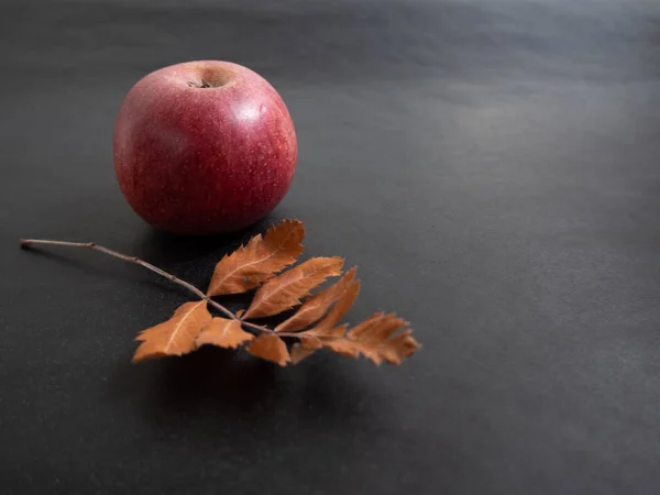 Czerwone jabłko i brązowy liść pomarańczy na ciemnym tle — Zdjęcie stockowe