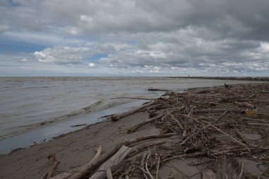 Fırtınadan sonra kirli sahil