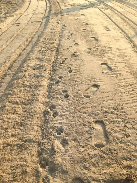 Sahilde gün doğumu, sıcak güneş ışığı altında kumdaki ayak izleri.