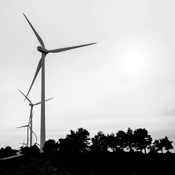 windmills wind power farm