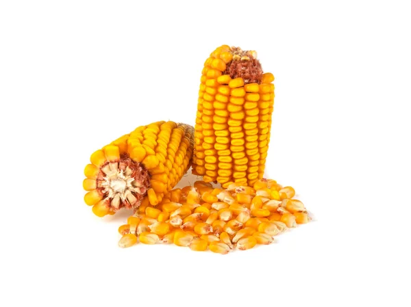 Кукурудзяне Зерно Ізольовано Білому Тлі — стокове фото