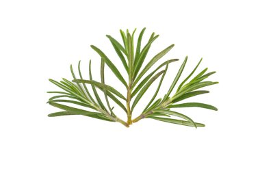 Beyaz arkaplanda izole edilmiş biberiye karışımı