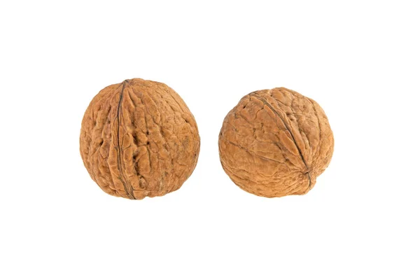 Dos Nueces Aisladas Sobre Fondo Blanco — Foto de Stock