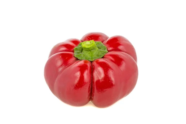 Pimiento Rojo Sobre Fondo Blanco — Foto de Stock