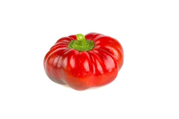 Red Bell Pepper White Background — Stock Photo, Image