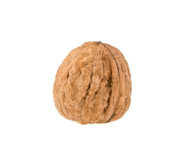 Walnut isolated on white background — Stock Photo, Image