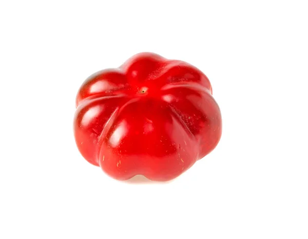 Paprika merah pada latar belakang putih — Stok Foto