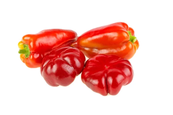 Red bell pepper on white background Royalty Free Stock Images