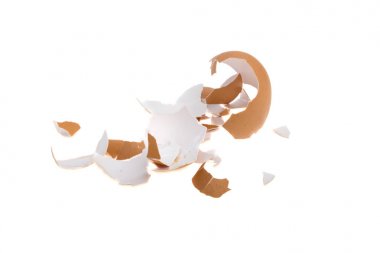 beyaz zemin üzerine yumurta kabuğu