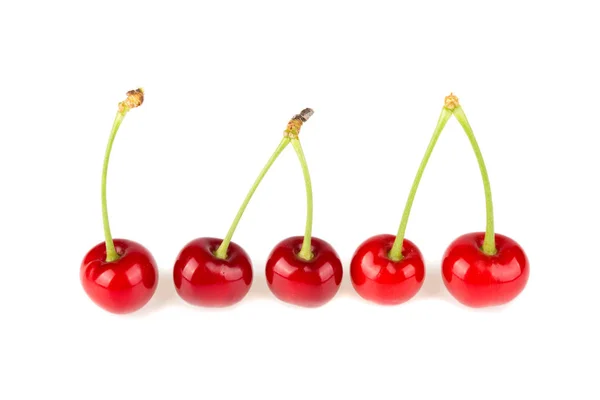 Cherry Latar Belakang Putih — Stok Foto