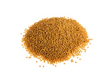 Beyaz zemin üzerine hardal