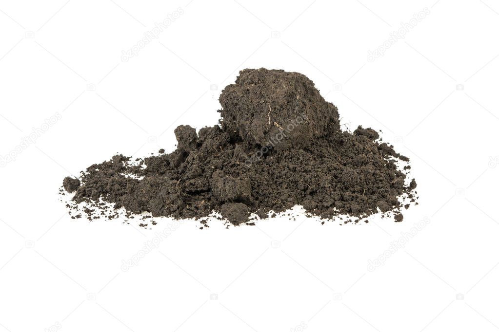 earth, soil on a white background