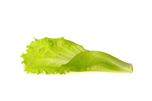 Salatblatt isoliert auf weißem Hintergrund — Stockfoto