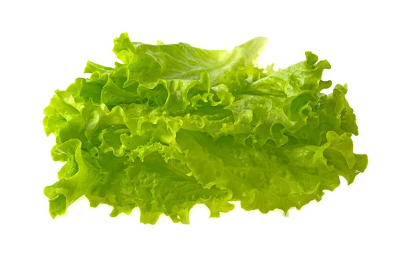 Лист салата изолирован на белом фоне — стоковое фото