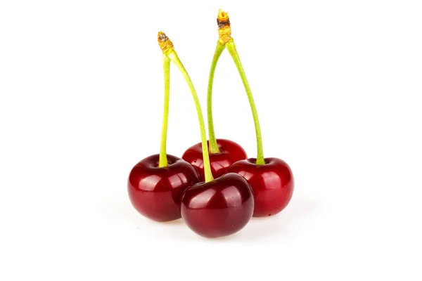 Cherry Pada Latar Belakang Putih — Stok Foto