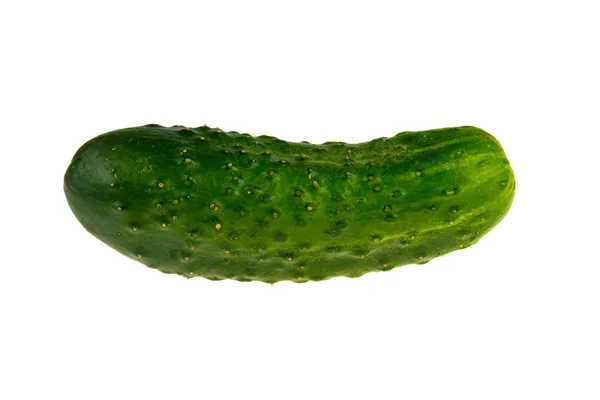 Pepino Verde Sobre Fondo Blanco — Foto de Stock