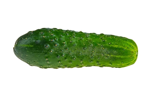 Pepino Verde Sobre Fondo Blanco — Foto de Stock