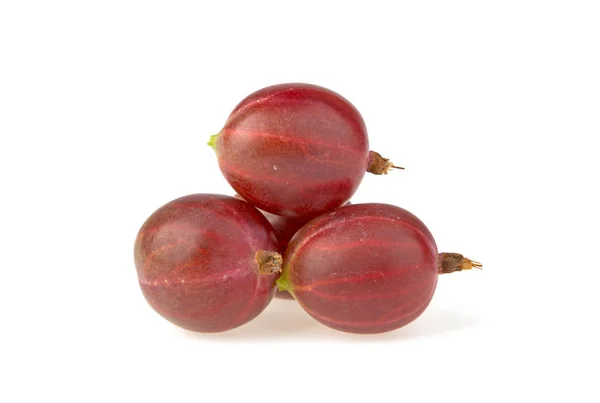 Pink Gooseberry White Background — Stock Photo, Image