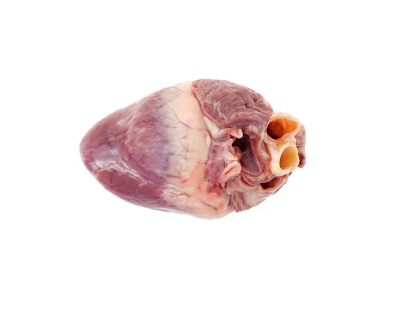Свиное Сердце Белом Фоне — стоковое фото